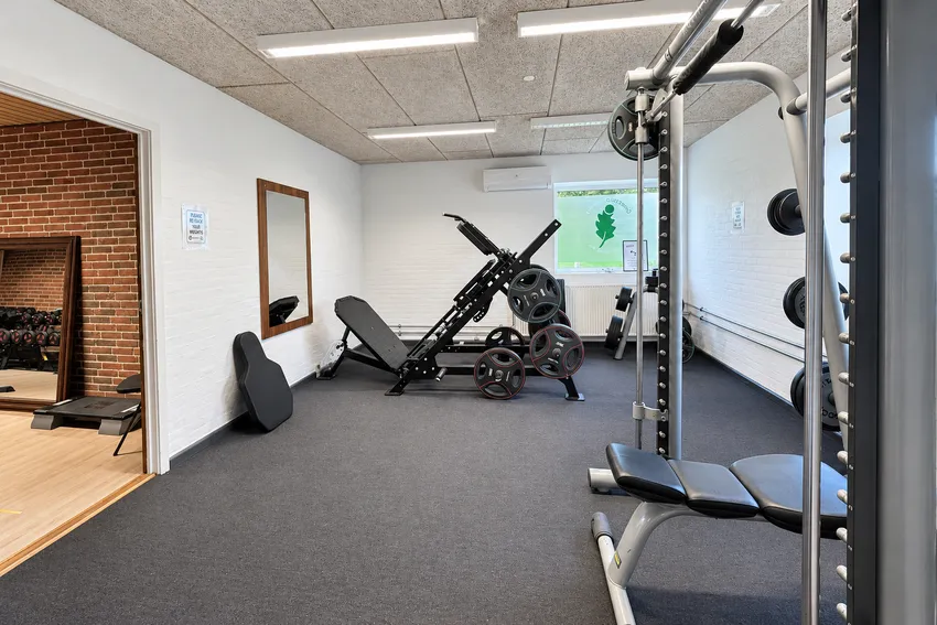 Styrkeområde med kabeltræk og benpres
